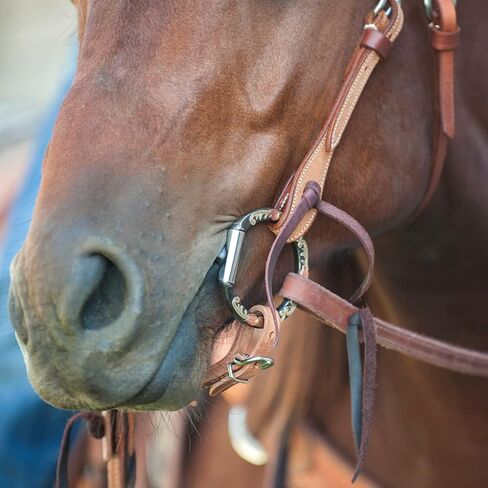 Classic Equine Bit Professional Series Snaffle D Ring TBBITDR20 in Saudi Arabia