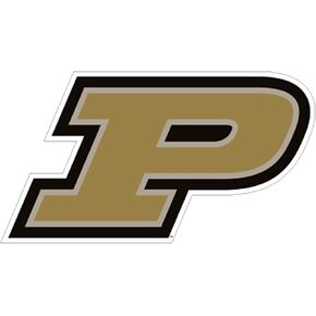 Purdue Magnet (P MAGNET (3''6''14''18''), 14 in) in Saudi Arabia