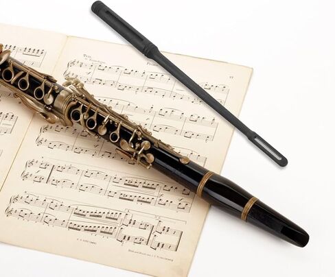 BESPORTBLE Brass Instrument Cleaning Rod for Trumpet Trombone Sousaphone Valve Maintenance Portable Durable Abs 10.24 Inch Black in Saudi Arabia