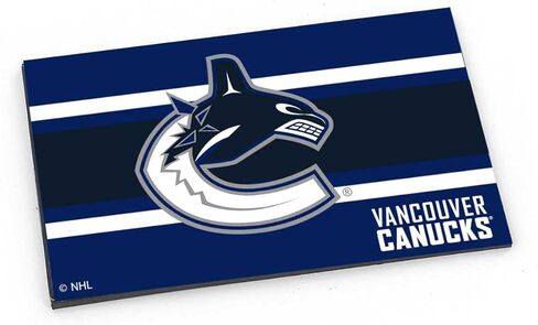 Aminco NHL Vancouver Canucks Striped Magnet in Saudi Arabia