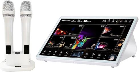 DAMINW156-12TB مشغل كاريوكي 15.6 بوصة، مضخم خلط 5 في 1 in Kuwait