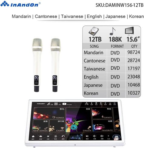 DAMINW156-12TB مشغل كاريوكي 15.6 بوصة، مضخم خلط 5 في 1 in Kuwait