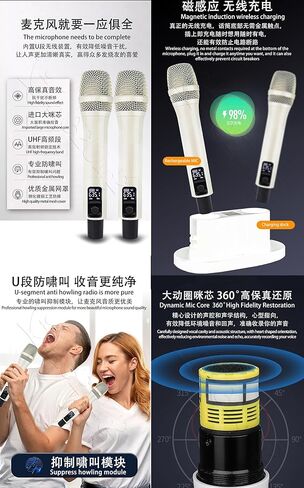 DAMINW156-12TB مشغل كاريوكي 15.6 بوصة، مضخم خلط 5 في 1 in Kuwait