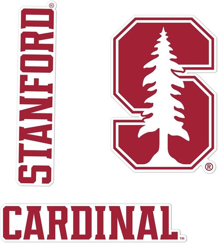 Desert Cactus Stanford University WallStix Cardinal Removable Wall Sticker 11x17 Vinyl Decal Indoor Outdoor Use (Design A) in Saudi Arabia