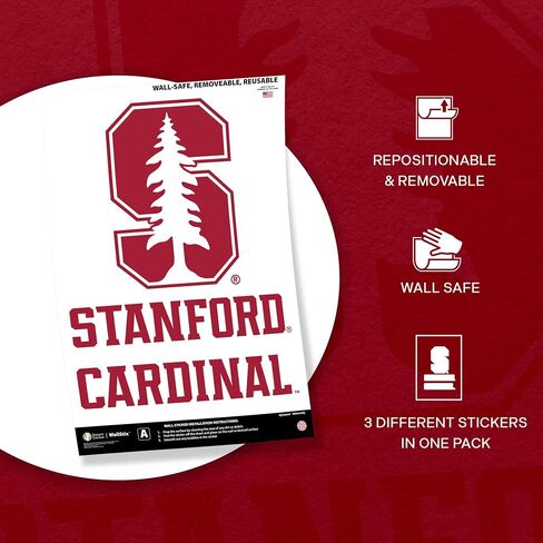 Desert Cactus Stanford University WallStix Cardinal Removable Wall Sticker 11x17 Vinyl Decal Indoor Outdoor Use (Design A) in Saudi Arabia