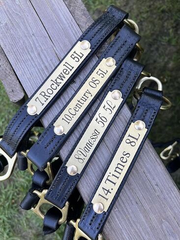 Leaders Leather Halter for Horses with Customized Engraved Name Plate Option Halter for Horse Black/Brass in Saudi Arabia