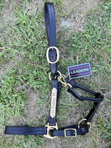 Leaders Leather Halter for Horses with Customized Engraved Name Plate Option Halter for Horse Black/Brass in Saudi Arabia
