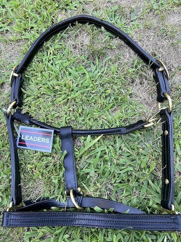 Leaders Leather Halter for Horses with Customized Engraved Name Plate Option Halter for Horse Black/Brass in Saudi Arabia