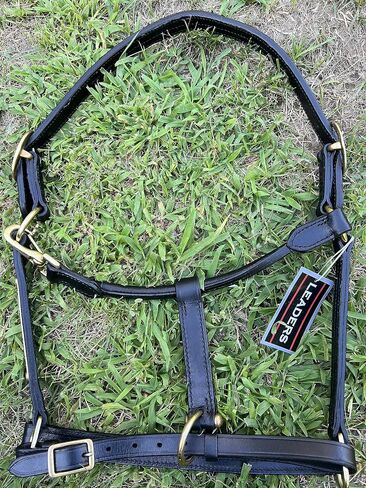 Leaders Leather Halter for Horses with Customized Engraved Name Plate Option Halter for Horse Black/Brass in Saudi Arabia