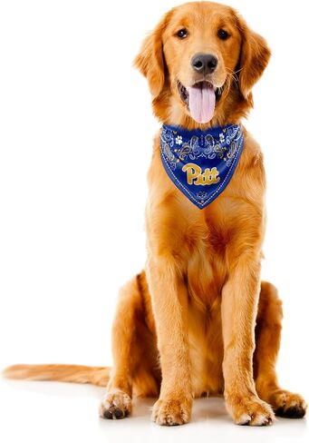 Littlearth Pittsburgh Panthers NCAA Pet Bandana in Kuwait