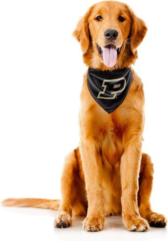 Littlearth Purdue Boilermakers NCAA Pet Bandana in Kuwait