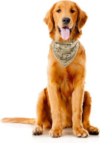 Littlearth Purdue Boilermakers NCAA Pet Bandana in Kuwait