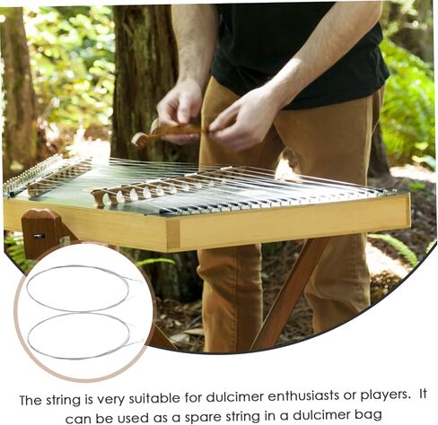2Pcs Dulcimer Replacement Strings Steel Dulcimer Accessories for Musicians Standard Tension Easy to Use Exceptional Sound Quality in Saudi Arabia