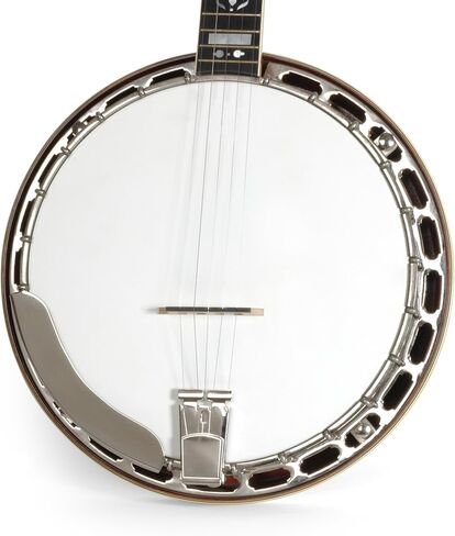 Weatherking Banjo Head, High Crown, 10-3/4" Diameter in Saudi Arabia
