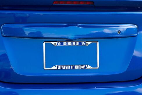 Desert Cactus University of Kentucky License Plate Frame Wildcats UK Holder for Front or Back of Car Metal Car Tag Holder Officially Licensed (Slogan 1) in Saudi Arabia