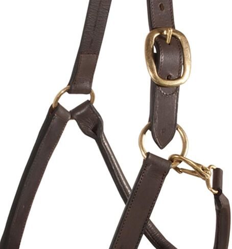 Schneiders Premier Kentucky Leather Halter for Horses - Cob or Full Size | Horse Comfort | Stable Necessity | Premium Kentucky Leather Halter in Saudi Arabia