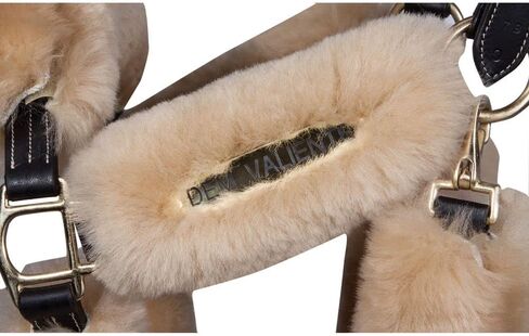 Schneiders Premier Kentucky Leather Halter for Horses - Cob or Full Size | Horse Comfort | Stable Necessity | Premium Kentucky Leather Halter in Saudi Arabia