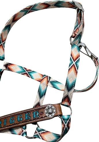 طباعة شخصية من النايلون على شكل ازتيك in Kuwait