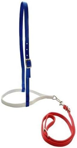 Showman Red, White & Blue Nylon Noseband Tie Down in Saudi Arabia