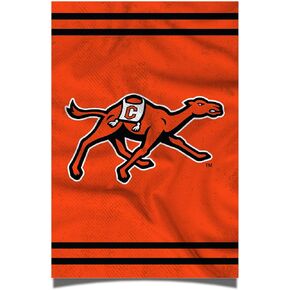 Desert Cactus Campbell University Poster Fighting Camels CU 11 x 17 Inch Room Office Décor Decoration Official Fan Gear (11x17,Version 3) in Kuwait
