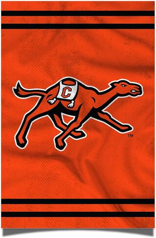 Desert Cactus Campbell University Poster Fighting Camels CU 11 x 17 Inch Room Office Décor Decoration Official Fan Gear (11x17,Version 3) in Saudi Arabia