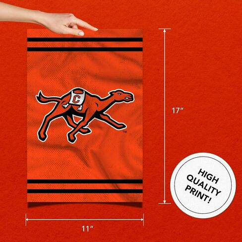 Desert Cactus Campbell University Poster Fighting Camels CU 11 x 17 Inch Room Office Décor Decoration Official Fan Gear (11x17,Version 3) in Saudi Arabia