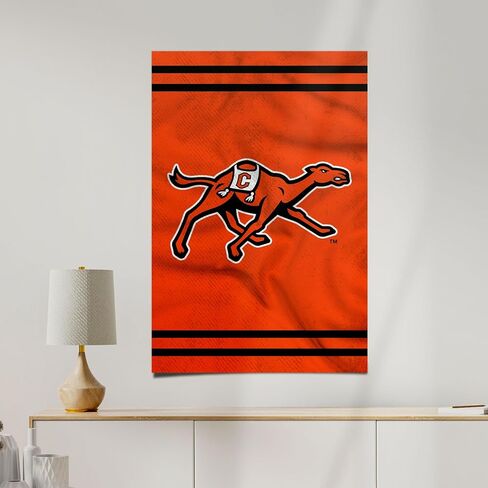 Desert Cactus Campbell University Poster Fighting Camels CU 11 x 17 Inch Room Office Décor Decoration Official Fan Gear (11x17,Version 3) in Saudi Arabia