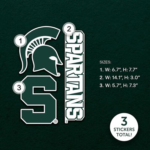 Desert Cactus Michigan State University WallStix Spartans MSU Removable Wall Sticker 11x17 Vinyl Decal Indoor Outdoor Use (Design A) in Saudi Arabia