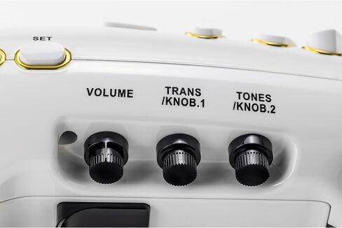 Elesa Electronic Saxophone, Digital Wind Instrument, Bluetooth (White) in Saudi Arabia