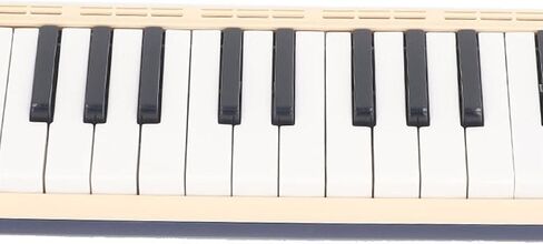 37 Keys Melodica Keyboard, Portable Air Piano Instrument Melodica Instrument For Beginners With Mouthpiece Blowpipe Storage Bag Musical Instrument For Music Lover in Saudi Arabia