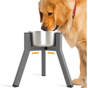 SHAINFUN Grey Raised Dog Bowl Stand for Large Medium Dogs 11" Height Adjustable Width 7-10.6" Single Tall Elevated Dog Bowls Stand, Food & Water Feeder Bowl Holder for Large Breeds(Bowl Not Included)