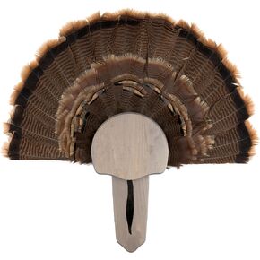 Walnut Hollow Country Turkey Fan Mount with Display Kit