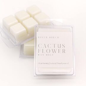 3 Pack Apple Cider Scented Clean Natural Soy Wax Melts Tarts – Total 7.5 Oz. of Scented Wax Melts, Gift Pack, Fall Scent Made in USA River Birch Candles