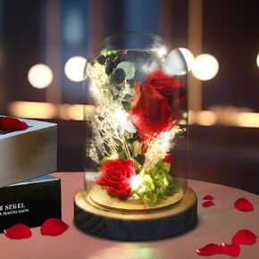 XTF2015 Preserved Rose Flower Glass Jar Dome with Real Flowers，Entwined with LED Lights & Wooden Base，The Best Gift for Mother's Day Valentine's Day Birthday Gift for Mom, Beauty, Man and Lover