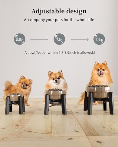 CZPET Dog Bowl Stand with Adjustable Height and Width [Stand Only] in Saudi Arabia