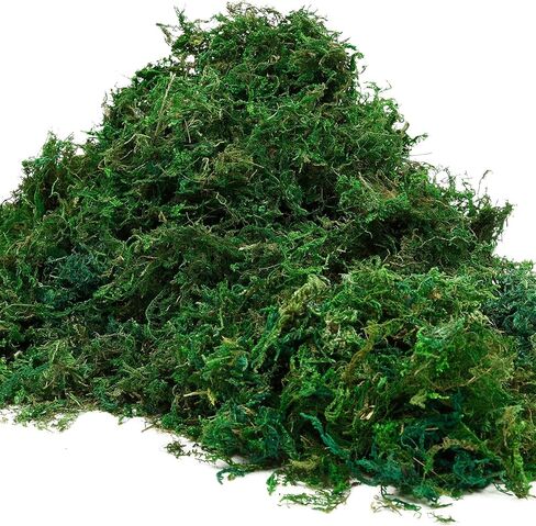 طحالب صناعية وهمية من KXCOFTXI، 10.6 أونصة/300 جرام من الطحالب الخضراء المجففة، طحلب حرفي لنباتات الزهور وتزيين الحديقة in Kuwait