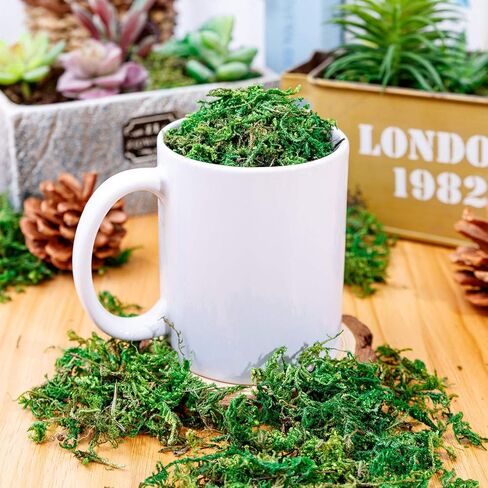 طحالب صناعية وهمية من KXCOFTXI، 10.6 أونصة/300 جرام من الطحالب الخضراء المجففة، طحلب حرفي لنباتات الزهور وتزيين الحديقة in Kuwait