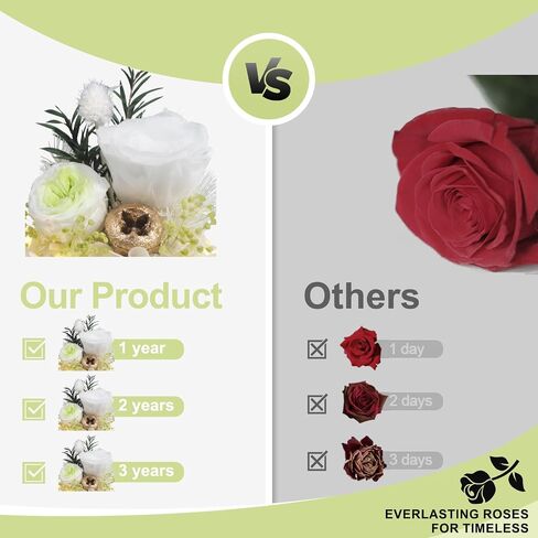 Preserved Flowers Rose Gifts at Mothers Day for Her, Forever Flowers in Angel Figurines with LED Light Gifts for Mom Grandma Wife Girlfriend, Anniversary or Birthday Gifts for Women(Light Pink) in Saudi Arabia