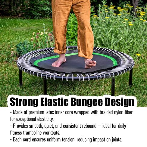 10Pcs Trampoline Bungee Cord Replacement Bands Elastic Rope Ties with Aluminum Buckle Accessories, 5 Inches Independent Cords for Tarp Canopy Exercise Fitness Rebounder Strap - Max Limit 300 lbs, Gray in Saudi Arabia