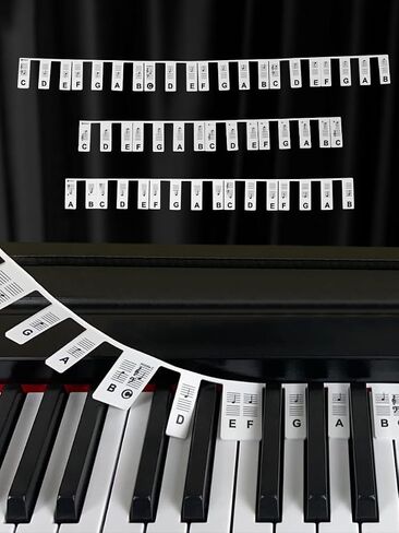 Piano Keyboard Note Labels, Silicone Piano Keyboard Stickers Guide for Beginners, 88 Keys Full Size, No Need Stickers, Reusable (Black) in Saudi Arabia
