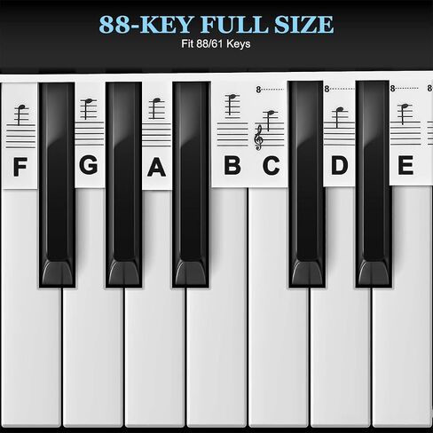 Piano Keyboard Note Labels, Silicone Piano Keyboard Stickers Guide for Beginners, 88 Keys Full Size, No Need Stickers, Reusable (Black) in Saudi Arabia