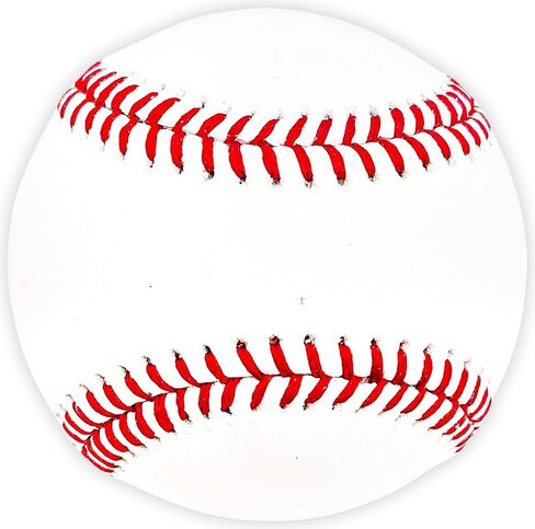 Cristian Javier Autographed Official 2022 World Series Logo M.L.B Baseball Houston Beckett BAS Witness Stock #220452 in Saudi Arabia
