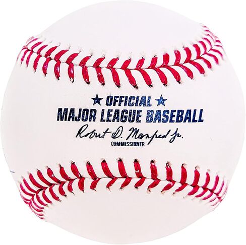 Pedro Martinez Autographed Official Hall of Fame HOF Logo Baseball Boston Beckett BAS Witness Stock #211749 in Saudi Arabia