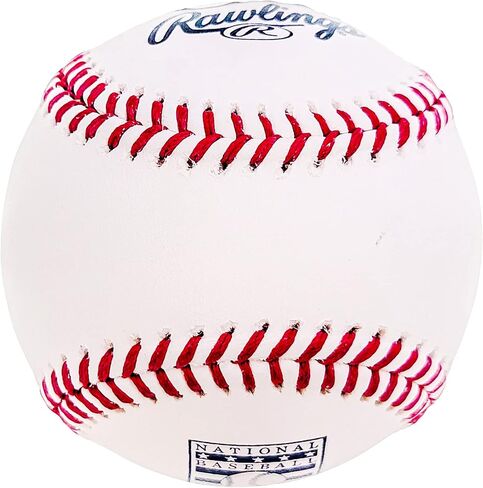 Pedro Martinez Autographed Official Hall of Fame HOF Logo Baseball Boston Beckett BAS Witness Stock #211749 in Saudi Arabia