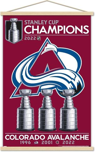 ملصق حائط بشعار فريق كأس ستانلي التذكاري لعام 2022 من Trends International NHL Colorado Avalanche، مقاس 22.375 بوصة × 34 بوصة، طباعة وحزمة شماعة سوداء in Saudi Arabia