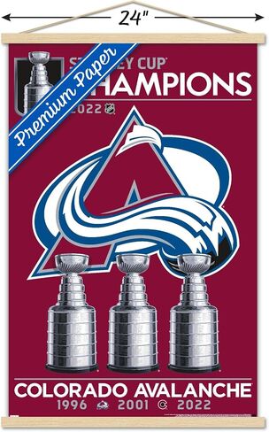 ملصق حائط بشعار فريق كأس ستانلي التذكاري لعام 2022 من Trends International NHL Colorado Avalanche، مقاس 22.375 بوصة × 34 بوصة، طباعة وحزمة شماعة سوداء in Saudi Arabia