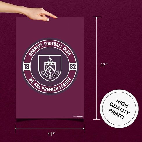 Desert Cactus Burnley FC Poster Clarets Football Soccer 11 x 17 Inch Room Office Décor Decoration Official Fan Gear (11x17 inch,Version E) in Saudi Arabia