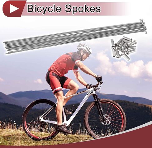 12 Set 14G Bicycle Spokes 277mm Bike Wheel Spokes 304 Stainless Steel Silver Tone in Saudi Arabia