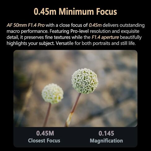 Viltrox AF 50mm F1.4 Pro FE Lens Full Frame Lens, Auto Focus Prime Lens for E Mount Camera A7III A7C A7SIII A7RIII A7IV A7RIV A9II A1II FX30 ZV-E10 A6700 in Saudi Arabia