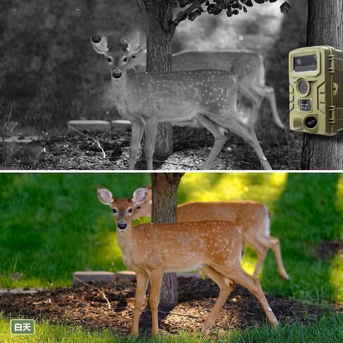 Wildlife Trail Camera, 4K IP66 Waterproof Game Camera with 120° Wide Angle PIR Detection, Outdoor Security Hunting Camera for Wildlife Monitoring in Saudi Arabia